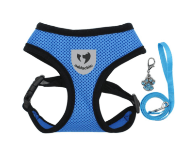 Set ham și lesă Addachic + pandantiv pentru câini și pisici, M, albastru